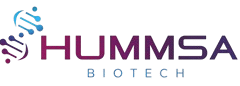 Hummsa