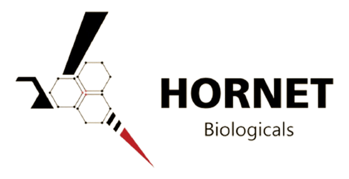hornet